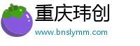 重庆玮创