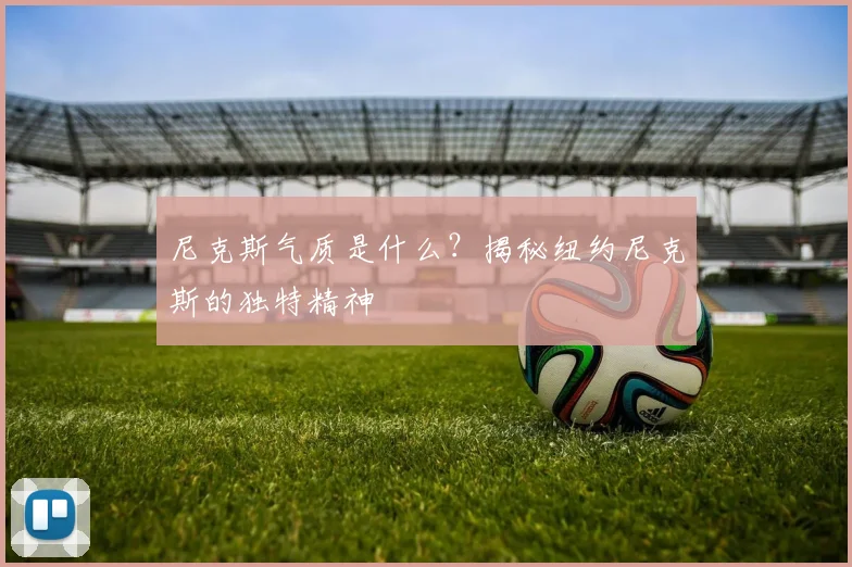 尼克斯气质是什么？揭秘纽约尼克斯的独特精神