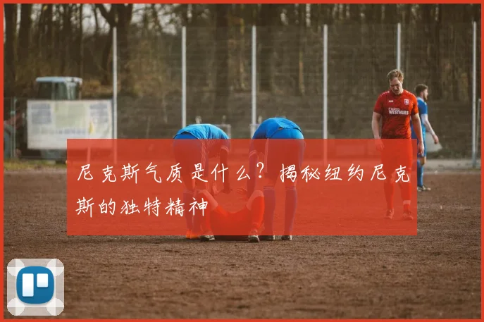 尼克斯气质是什么?揭秘纽约尼克斯的独特精神